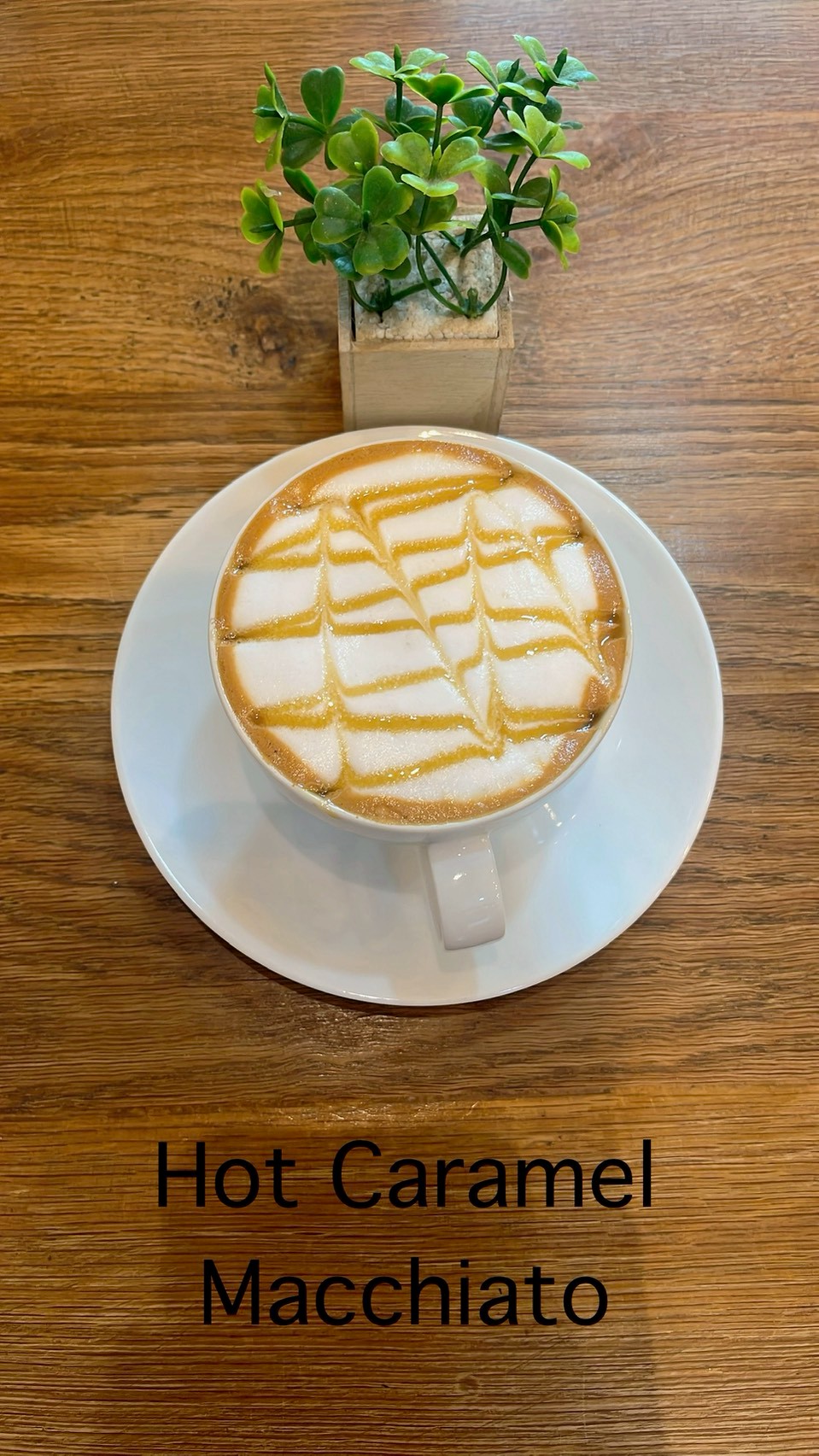 カフェモカ・キャラメルマキアート