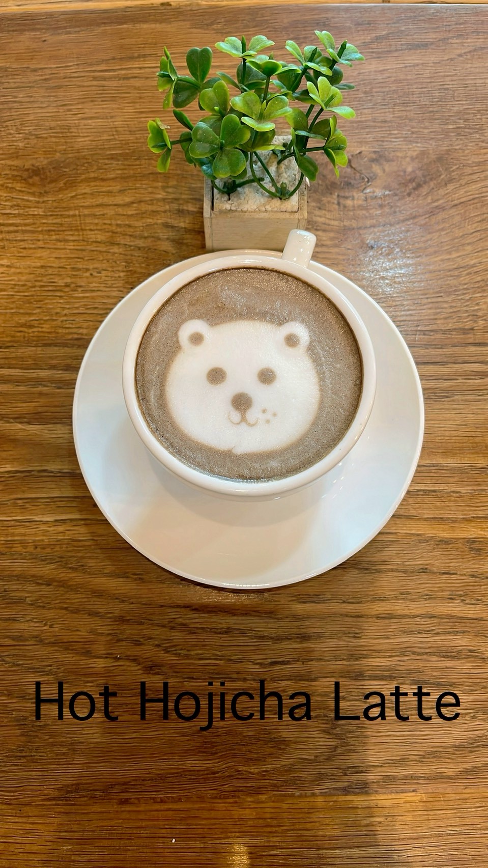 抹茶・ほうじ茶ラテ